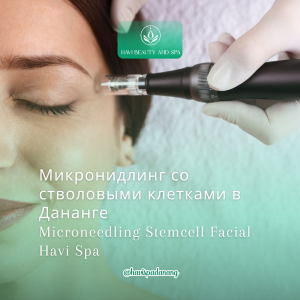 Микронидлинг Дананг Havi spa da nang